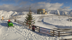 Ein Christbaum auf 2.571 m
