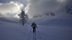 Eine Person fährt auf Skiern durch den Tiefschnee auf einen vereisten Baum in einer bergigen Winterlandschaft zu.