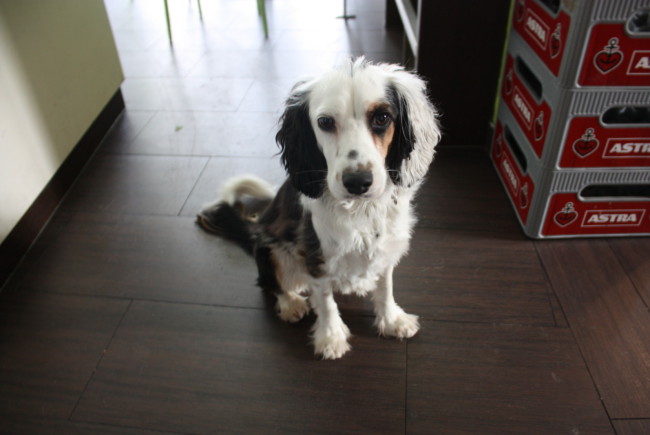 Ronja nicht lieb zu haben ist schier unmöglich.