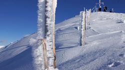Sonnige Wintertage