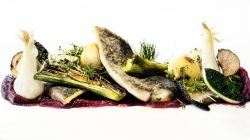 Allergene in der Nahrung