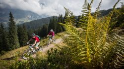 Hochkönig – Konfessionen eines Genussbikers
