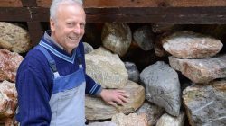 Fossilien aus dem steinreichen Lammertal
