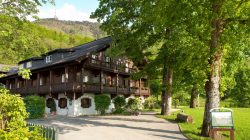 Gersberg Alm – Idylle hoch über Salzburg
