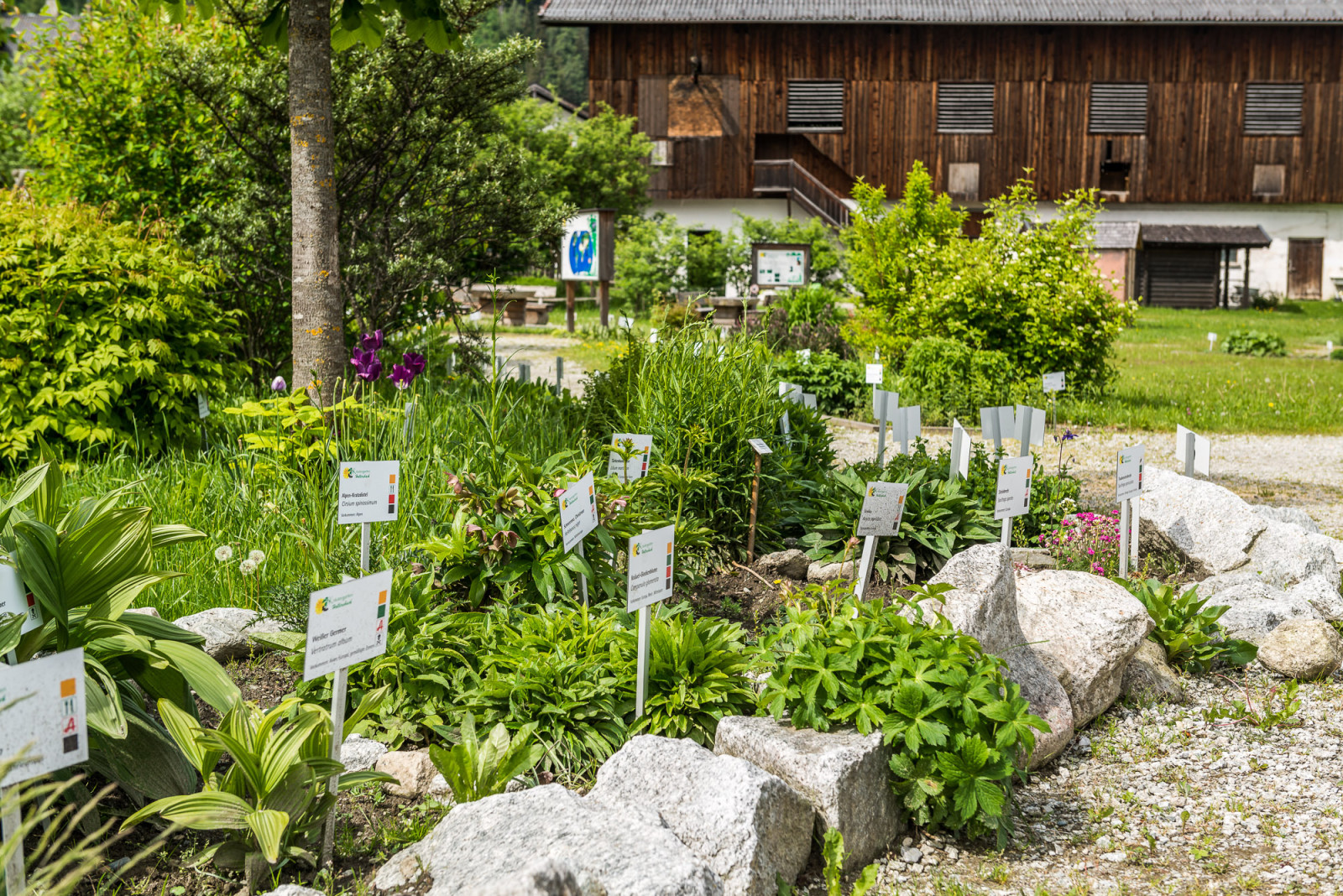 Kräutergarten Hollersbach