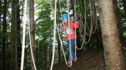 Waldkletterweg Faistenau