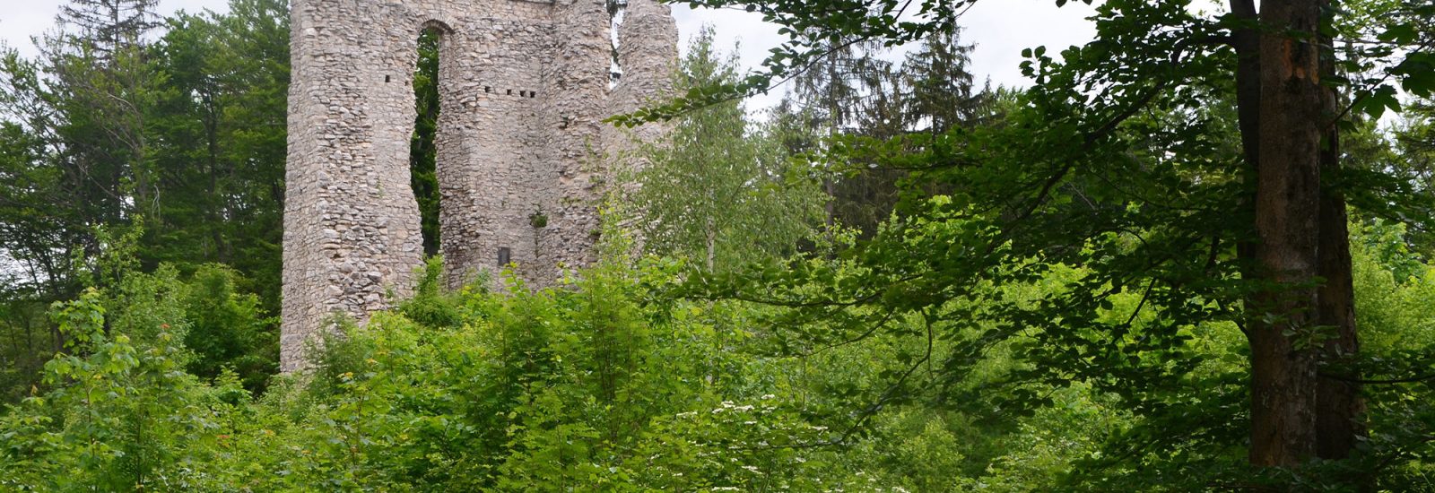 Ruine Thürndl in Hallein