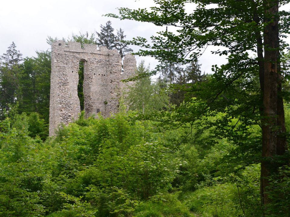 Ruine Thürndl in Hallein