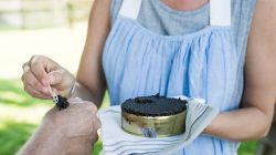 Local Exotics aus dem SalzburgerLand