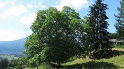 Familienwanderung nach Wolfschwang