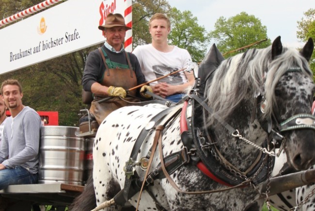 anlieferung_freibier_redbull_kutsche_zugeschnitten_0