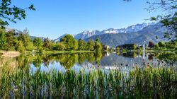 Die Vitalwege in Saalfelden und Leogang