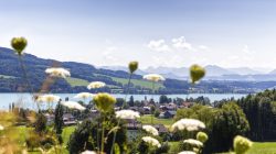 Biodorf Seeham