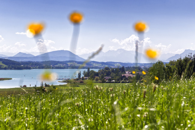 BioParadies_SalzburgerLand_Seeham