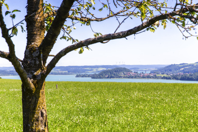 BioParadies_SalzburgerLand_Seeham