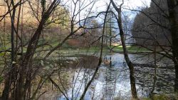 Der Jahreszeitenweg am Egelsee