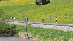 Der Murradweg und die Murtalbahn