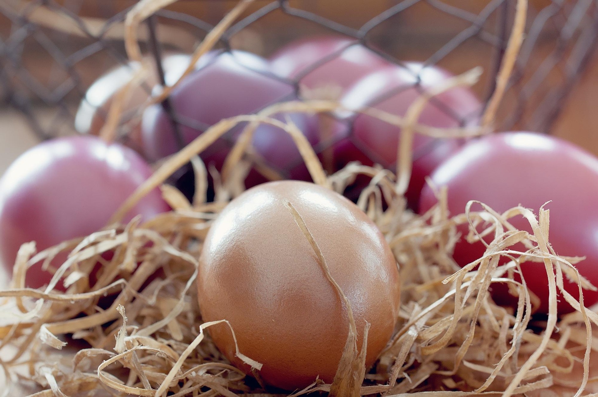 Ein goldenes Ei liegt im Stroh, umgeben von mehreren rötlich-violetten Eiern im Hintergrund.