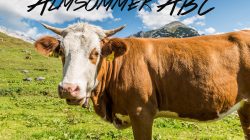 Das Almsommer-ABC