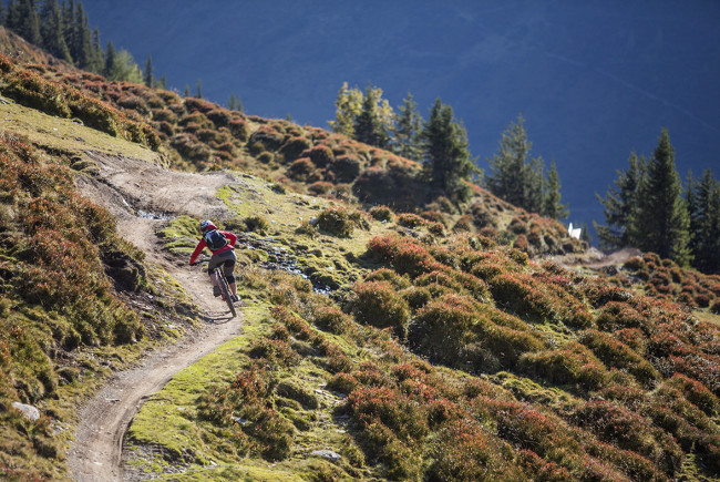 hm_saalbach_hackelbergtrail041