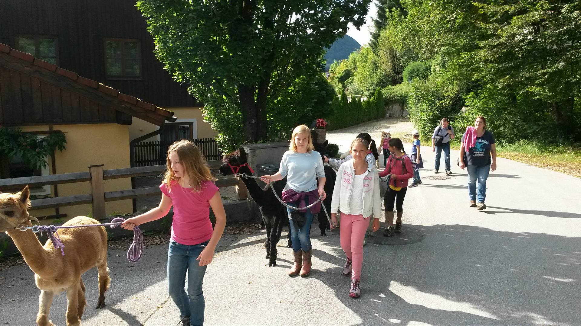 Für Kinder ein echter Hit. (c) Daniel Schartner