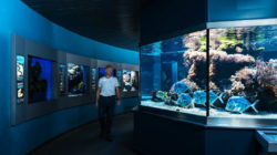 Abenteuer Haus der Natur