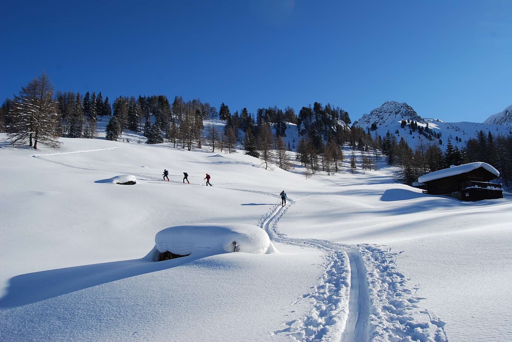Skitourengruppe im Winterwonderland © www.grossarltal.info