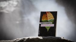 Salzburger Krimi: Drachenjungfrau