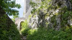 Steinerne Ruinen mit einem Torbogen, umgeben von Grün und Sonnenlicht, das durch die Bäume fällt.