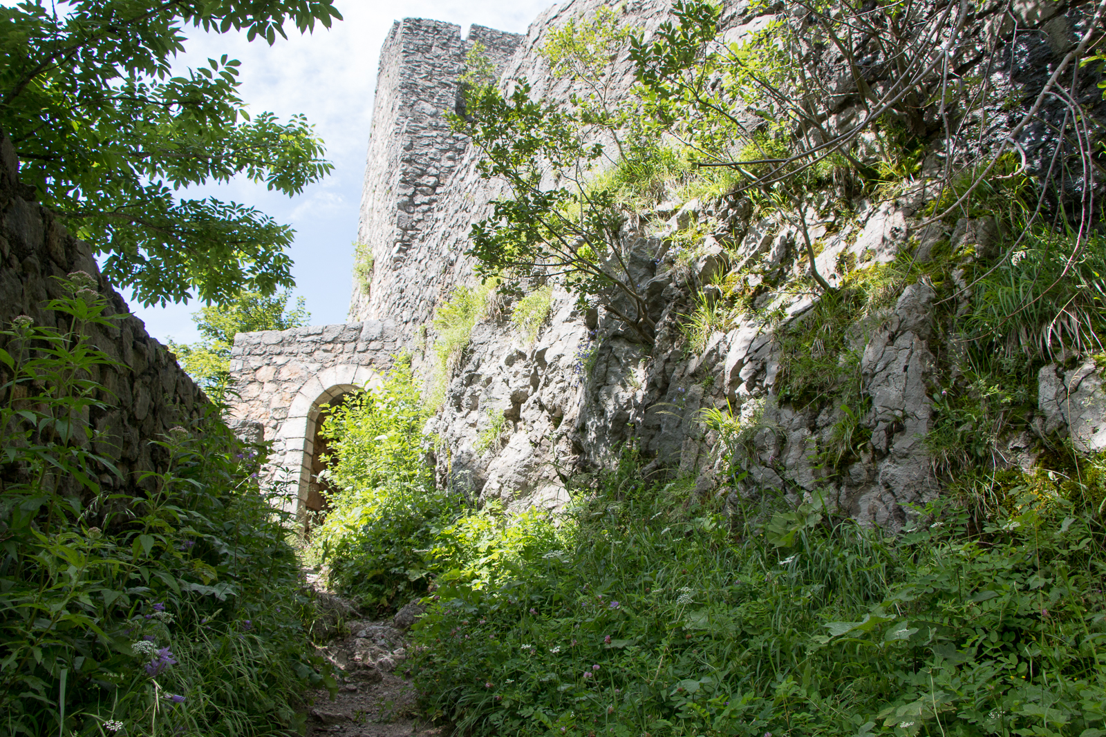 Ruine Wartenfels