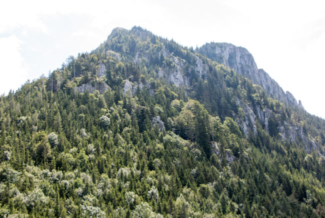 Wanderung zur Burgruine Wartenfels