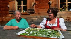 Weise Kräuterfrau aus dem Riedingtal