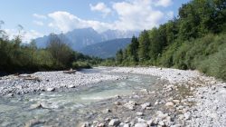 Flusslandschaft Tauglgries