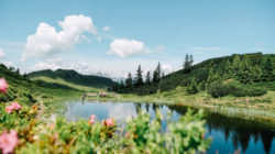 Großarltal – das Tal der Almen