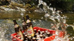 Aus edlem Wasser gebraut