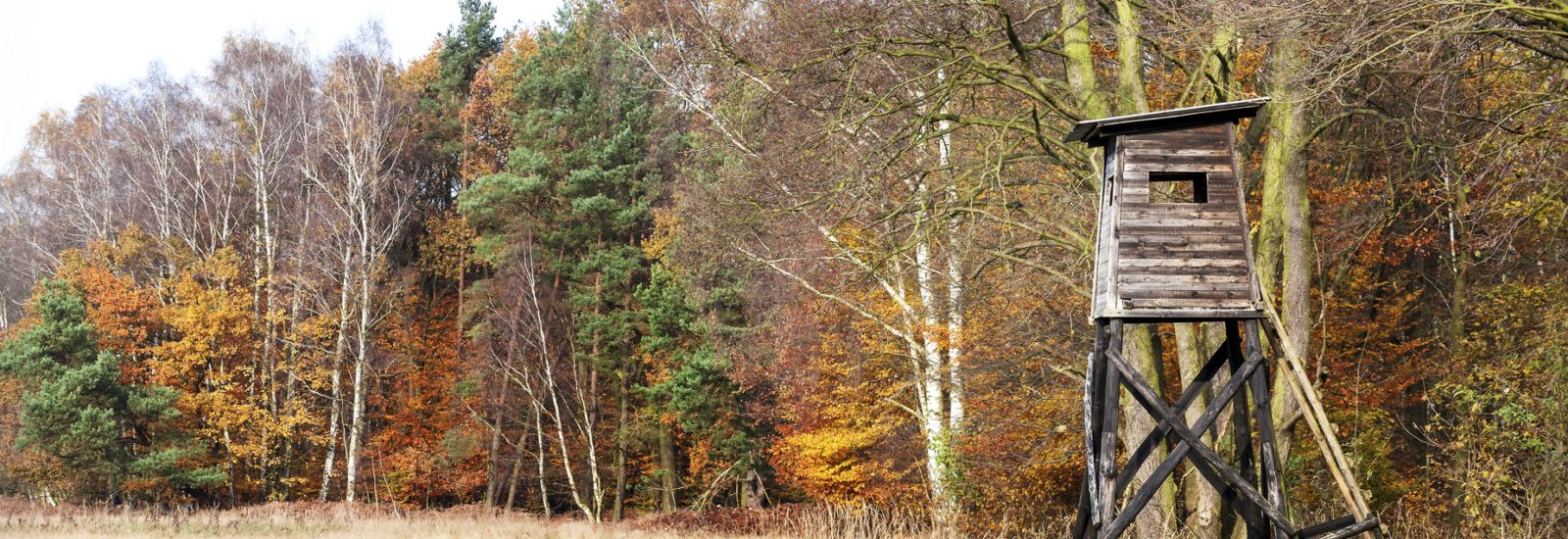 Jagd Hochsitz