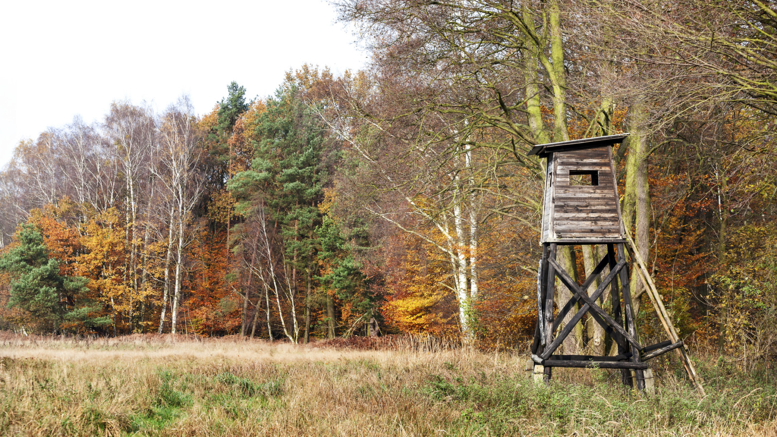 Jagd Hochsitz