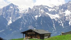 Das neue Leben auf der Alm