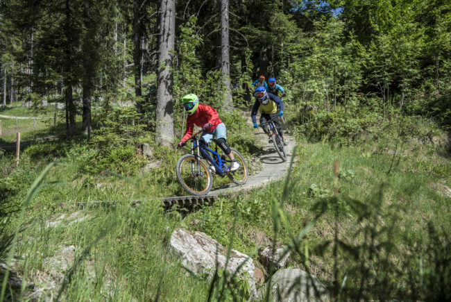 mountainbike-park