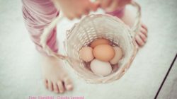 Eieiei – SalzburgerLand-Eier mit Wohlfühl-Atmosphäre