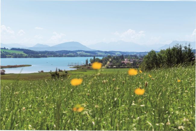 Bio Paradies Salzburger Land Tour 3 Foto: Andreas Kolarik/Leo 22.07.2015