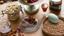 Hagebutten-Rosen-Traum