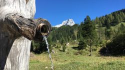 Die Kraft der Meeräuglquelle