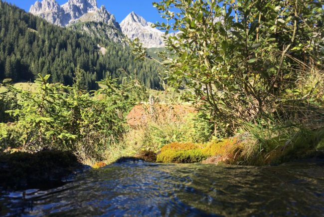 Wasser der Meeräuglquelle vor der Bergwelt in Filzmoos