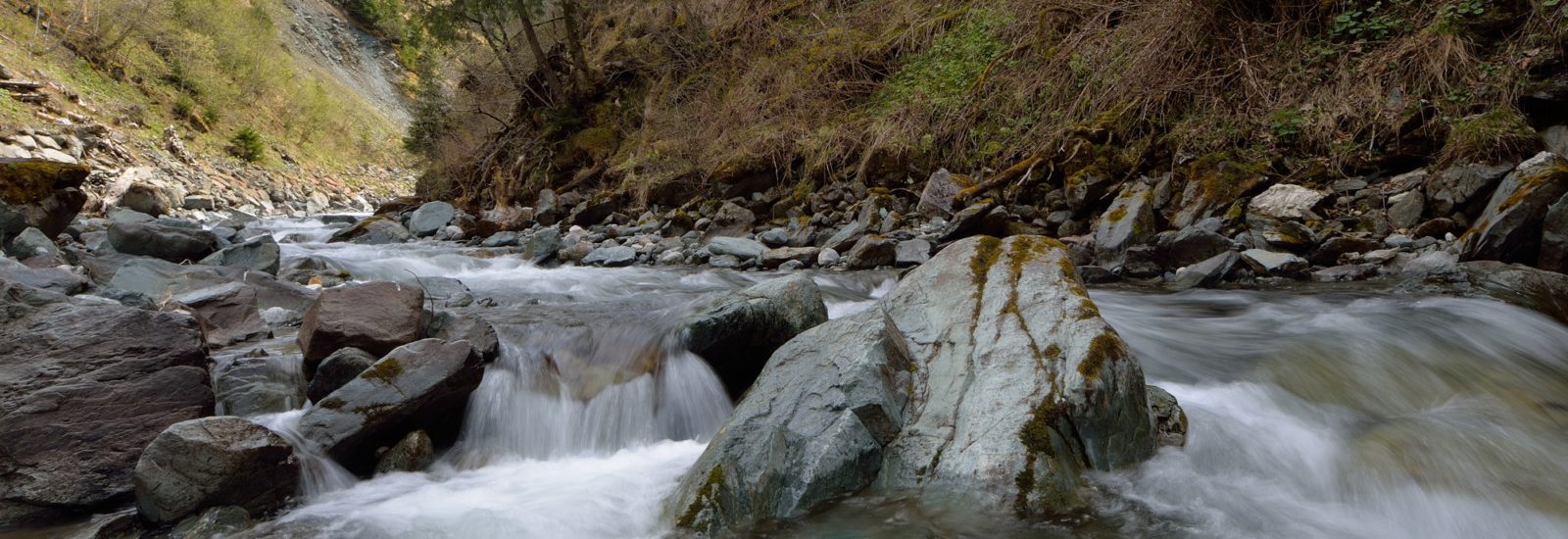 Der Hollersbach mit seinem Bachlehrweg.