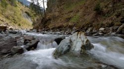 Der Hollersbach mit seinem Bachlehrweg.
