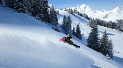 Freeriding – Sport und Lebensgefühl