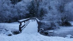 Eine schneebedeckte Holzbrücke überquert einen Bach in einem Wald mit frostigen Bäumen im Winter.