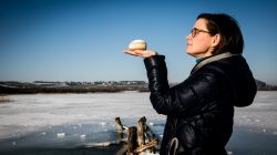 Von der Kunst einen Faschingskrapfen zu essen