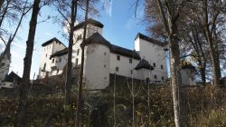 Kulturverein Schloss Goldegg